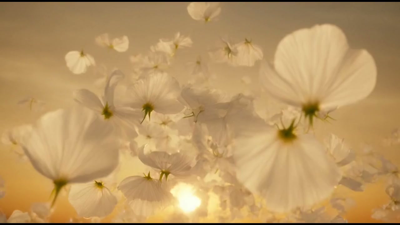 Gymnopédie - AI classical music film film on Aliholly